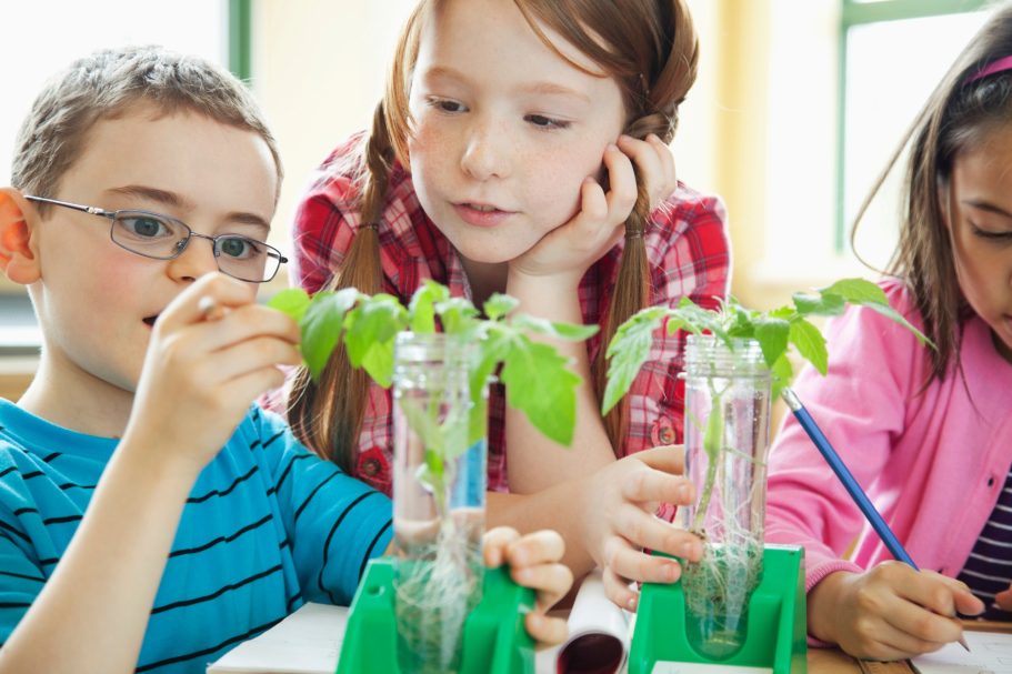 Épisode 4: La manipulation 3 enfants de 8 ans qui observent des plantes dans un grand tube